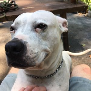 Meet your Posher, Kevin